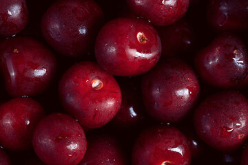 photo texture of many fresh bright ripe sweet cherries background