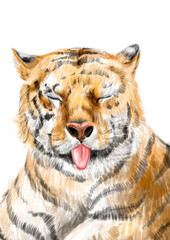 Cute portrait tiger cartoon shows tongue. Funny digital art of tiger for calendar