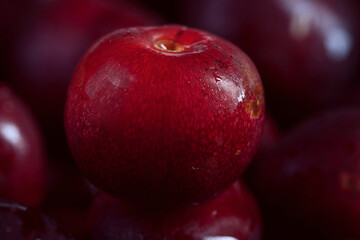 Fototapeta na wymiar big fresh ripe black cherry super macro photo with blurred background
