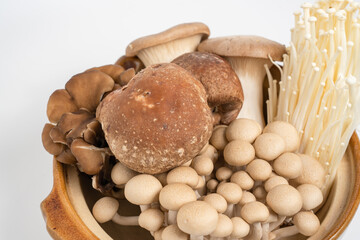 Earthenware pot with lots of Japanese mushrooms
