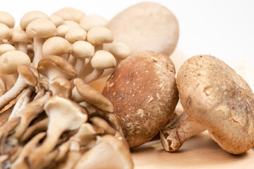 Japanese mushrooms on a cutting board