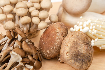 Japanese mushrooms on a cutting board