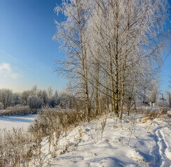 Winter landscape with frost and snow.