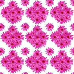 Fototapeta na wymiar Seamless pattern, Many pink lotus flowers, They are arranged in a row on a white background.