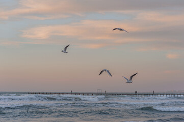 seascape during the golden hour