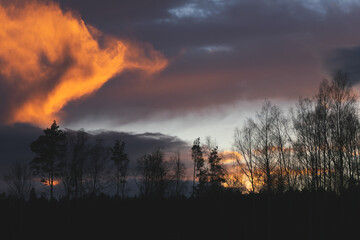 Golden hour with fire clouds. Beautiful sunset with trees.
