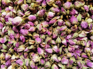 close up of pink flowers