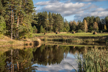 Fototapeta na wymiar A view of the small country pond, Latvia