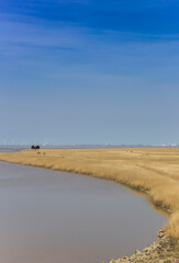 Bird watching hut at the coast of Groningen, Netherlands