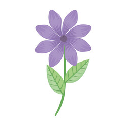 Obraz premium purple petals flower and leafs spring icon vector illustration design