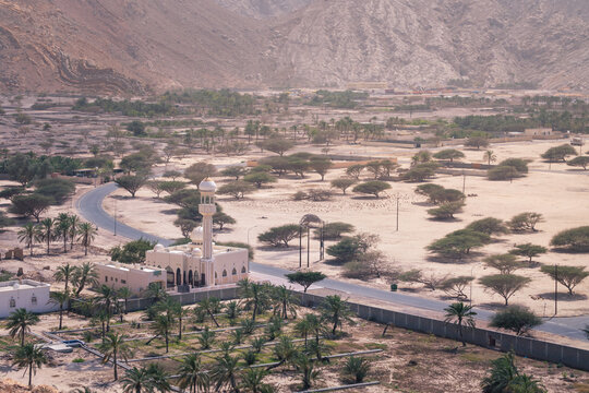 Small mosque in the rural area of Musandam province Suburbs of Bukha village, Oman. Palm trees in the desert under steep mountains.