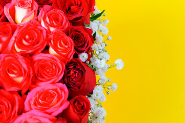 Background of pink, red and peach roses on yellow, wallpaper for woman's day
