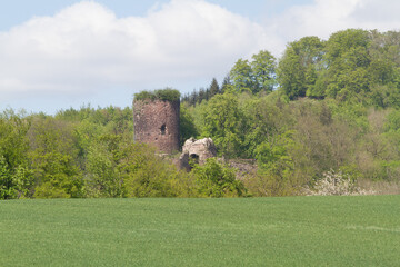 Burgruine Ebersburg harz Harztor