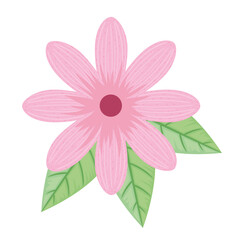 cute pink petals flower and leafs spring icon vector illustration design