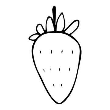 Vector single image of a strawberry in doodle style on a white background