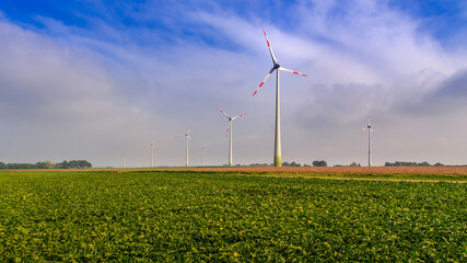 Wind turbines in flemish countryside under blue sky with white clouds, Diest, Flanders, Belgium © Steven