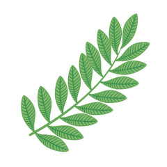 branch with leafs ecology icon vector illustration design