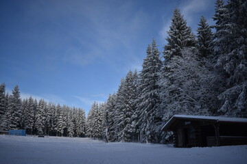 snow covered house