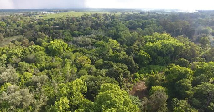El Bosque, Parque Pereyra, Florencio Varela, Buenos Aires, Argentina desde drone en 4K