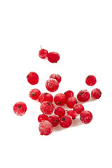 red currants isolated on white background