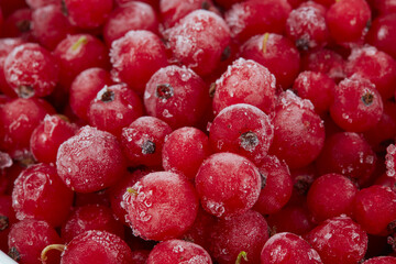 frozen red currants close up