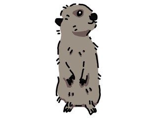 立ち上がり、遠くを見つめるミーアキャット