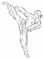 Obraz na płótnie Canvas illustration of a woman martial athletes, vector drawing