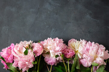 Peonies Flat lay. Beautiful peony flowers for any holiday.