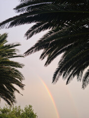 Colourful Rainbow in the Sky