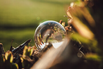 crystal ball on wood with sunlight
