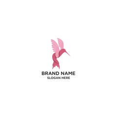 Humming Bird Logo Design Inspiration