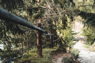 Naklejka premium stone road in a coniferous forest in the mountains