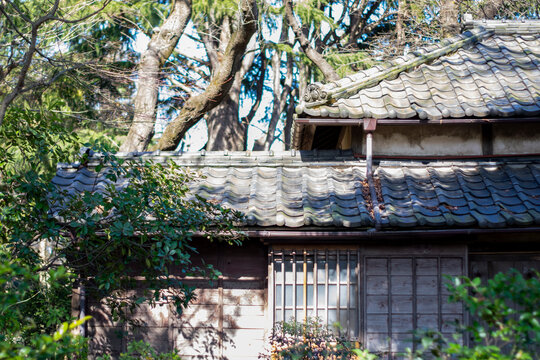 10 602 Best 木造建築 Images Stock Photos Vectors Adobe Stock