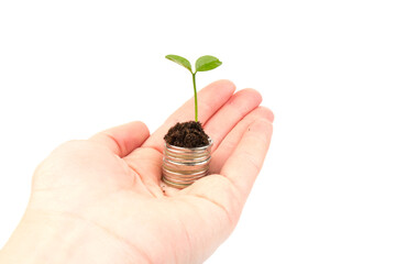 Gold coins in the soil with a young plant. The concept of money growth.