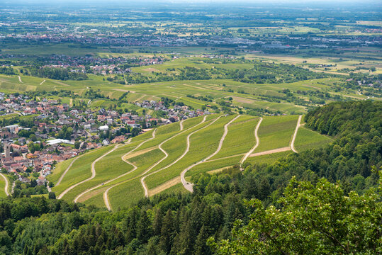 View from the castle Yburg over Varnhalt