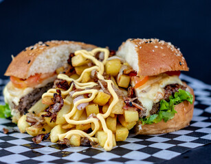 hamburger with fries