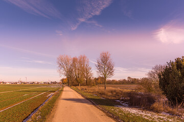 a field trail in the purple evening sky in autumn