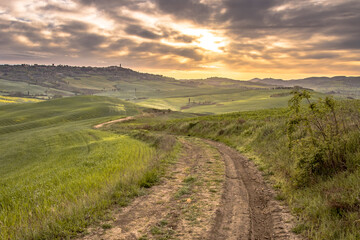 Dirt road in tranquil landscape Tuscany