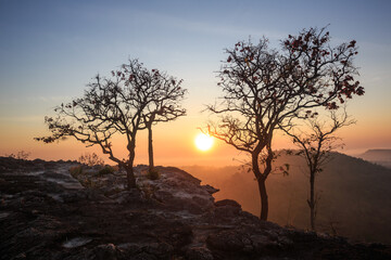 The morning light on the top of a hill filled with rocks and trees.