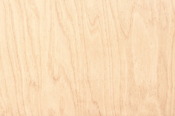 light wood texture. pastel color board as background