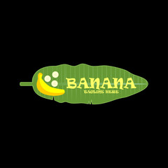 Banana vector logo icon template