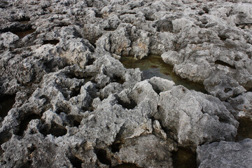 Grey sea rocks with some water texture