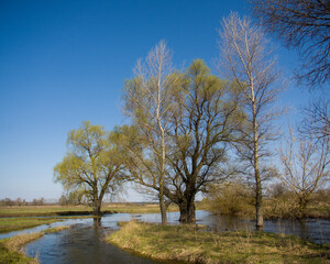 Spring landscape with an overflowing river. Spring flood