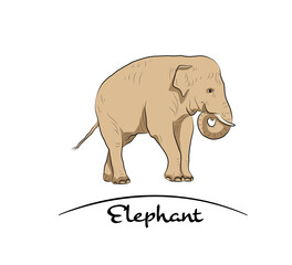 Fototapeta premium Eating elephant. Hand made.