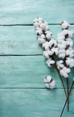 cotton twigs on turquoise surface