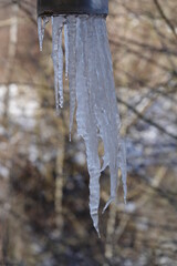große Eiszapfen unter der Brücke / large icicles under the bridge
