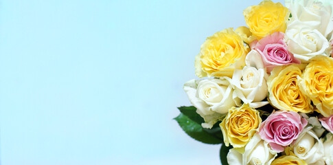 Large bouquet of many beautiful multicolored roses on a blue background
