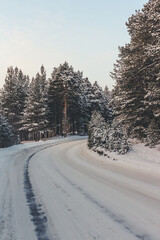 Obraz premium winter road in the forest