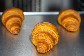 tray with freshly baked croissants