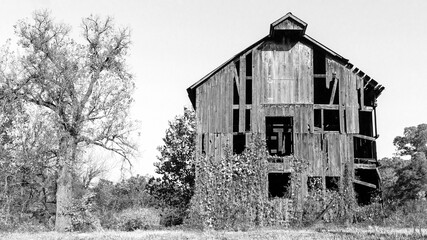 Obraz premium old abandoned barn in black and white